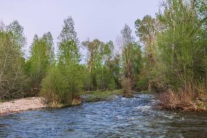exterior_water_house_sanctuary_10