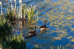 exterior_water_house_sanctuary_11