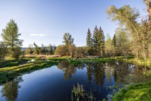 exterior_water_house_sanctuary_22