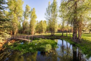 exterior_water_house_sanctuary_25