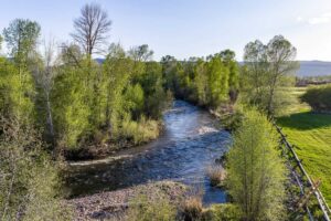 exterior_water_house_sanctuary_35